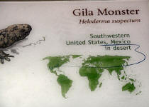 gilamonstersign.JPG (94603 bytes)