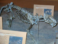 IMGP2540.JPG (107370 bytes)