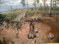 IMGP2542.JPG (113159 bytes)