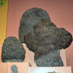 IMGP2544.JPG (127380 bytes)