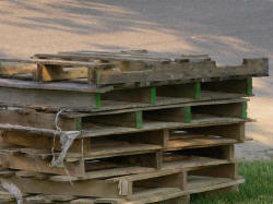 11may0001.JPG (51420 bytes)