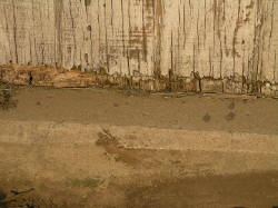 11may0006.JPG (73317 bytes)