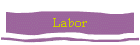 Labor