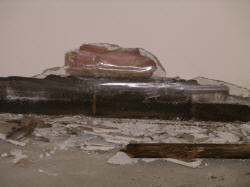 IMGP0691.JPG (456444 bytes)