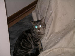 IMGP0699.JPG (440597 bytes)