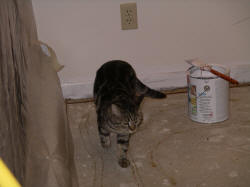 IMGP0709.JPG (499944 bytes)