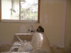 IMGP0712.JPG (418902 bytes)