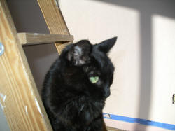 IMGP0735.JPG (357349 bytes)