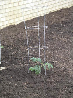 12june14.JPG (109626 bytes)