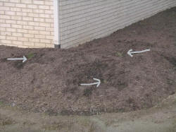 17june11.JPG (76527 bytes)